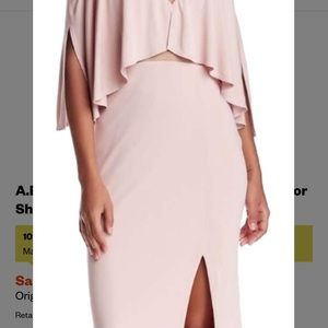 A.B.S. by Allen Schwartz Vintage Rose Color Sheer In Areas Formal Dress